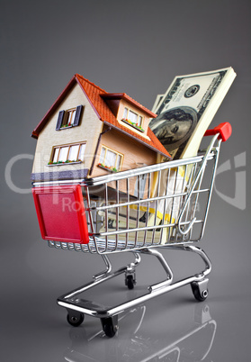 shopping cart and house