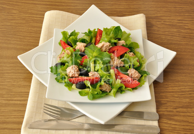 Tuna salad with mint and mixed vegetables