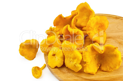 Chanterelles