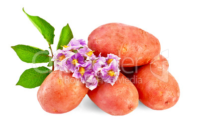 Potatoes red with a flower