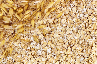 The texture of oatmeal with oat stalks left