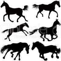 Set of a silhouette of a horse