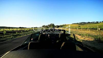Touring the Vineyards of Napa Valley