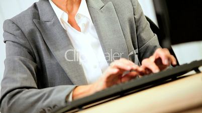 Female Business Consultant Using Computer