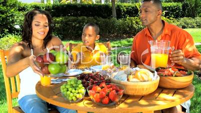 Young Ethnic Family Enjoying a Healthy Lunch Outdoors