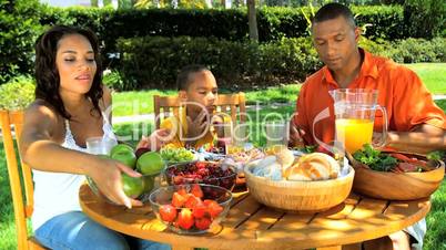 African American Family Healthy Eating in Garden