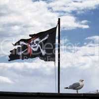 Piratenflagge und Möwe