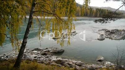 Altai river clean.