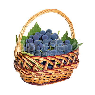 wicker basket with brushes of dark grapes