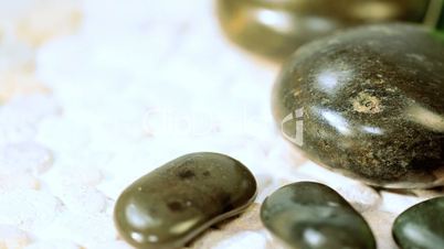 Spa Therapy Symbols of Stones & Leaves