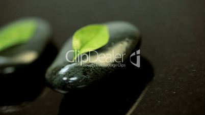 Row of Five Black Spa Therapy Stones