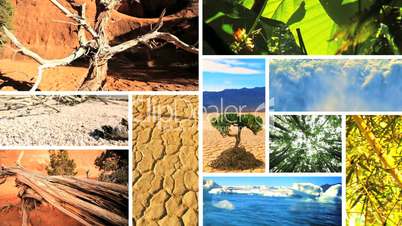 Montage Images of Green Vegetation & Barren Environments