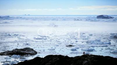 Tourists Overlooking Icebergs & Ice Floes