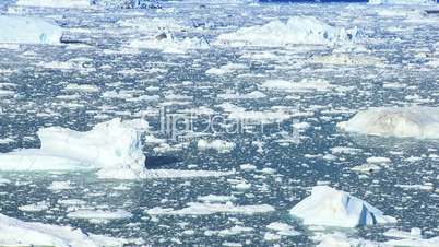 Ice Floes with Icebergs