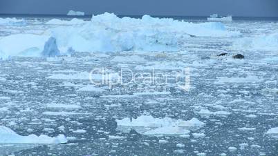 Time lapse Disko Bay Ice Floes, Greenland