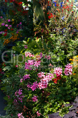 Allee mit Blumen,Montreux,Genfer See