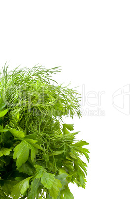 parsley and dill