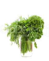 parsley and dill