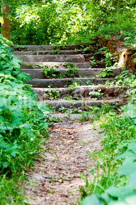 Old stone stairs leading.
