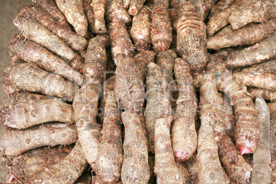 background of fresh taro root (colocasia)
