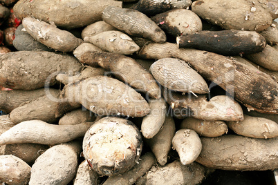 Chinese yam background