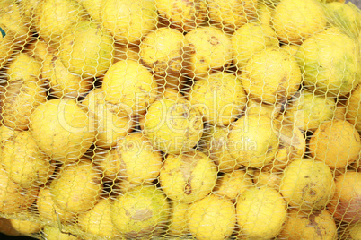 Oranges in mesh bag series