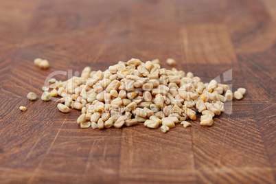 Fenugreek