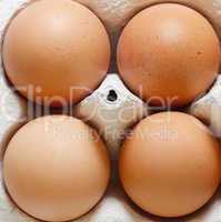 Eggs