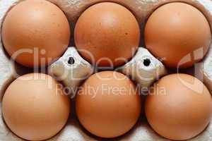 Eggs