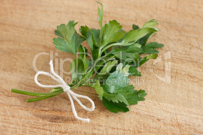 Parsley