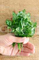 Parsley