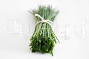 Chives