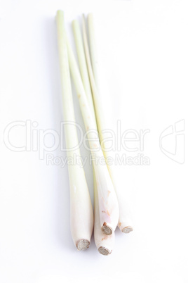 Lemon grass