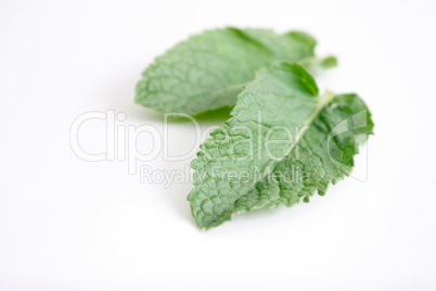 Mint leaves