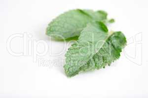 Mint leaves