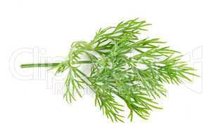 Dill