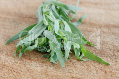 Tarragon