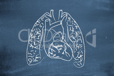 Lungs drawn on blackboard