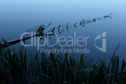 Reflection in Lake Matheson