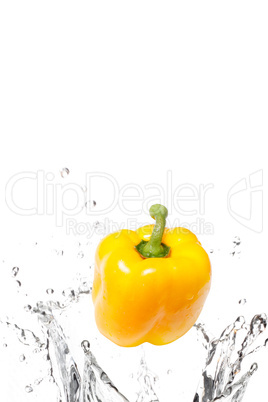 Fresh yellow bell pepper