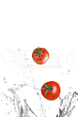 Tomatoes