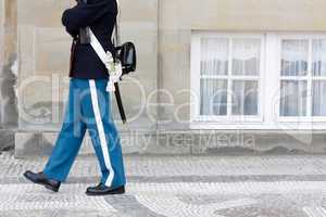 Royal Danish Guard