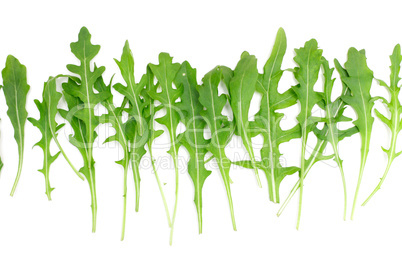 Rocket salad Rocket salad