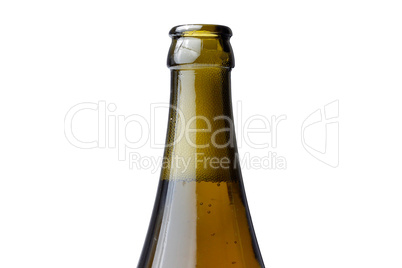 Beer Bottle