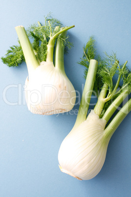 Fennel