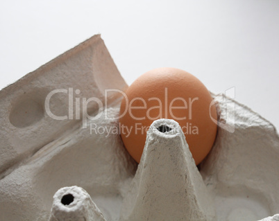 Egg