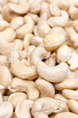 Cashew