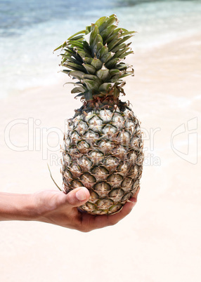 Pineapple