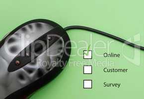 Online customer survey