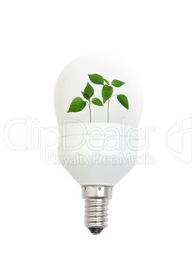 Light bulb with leaves
